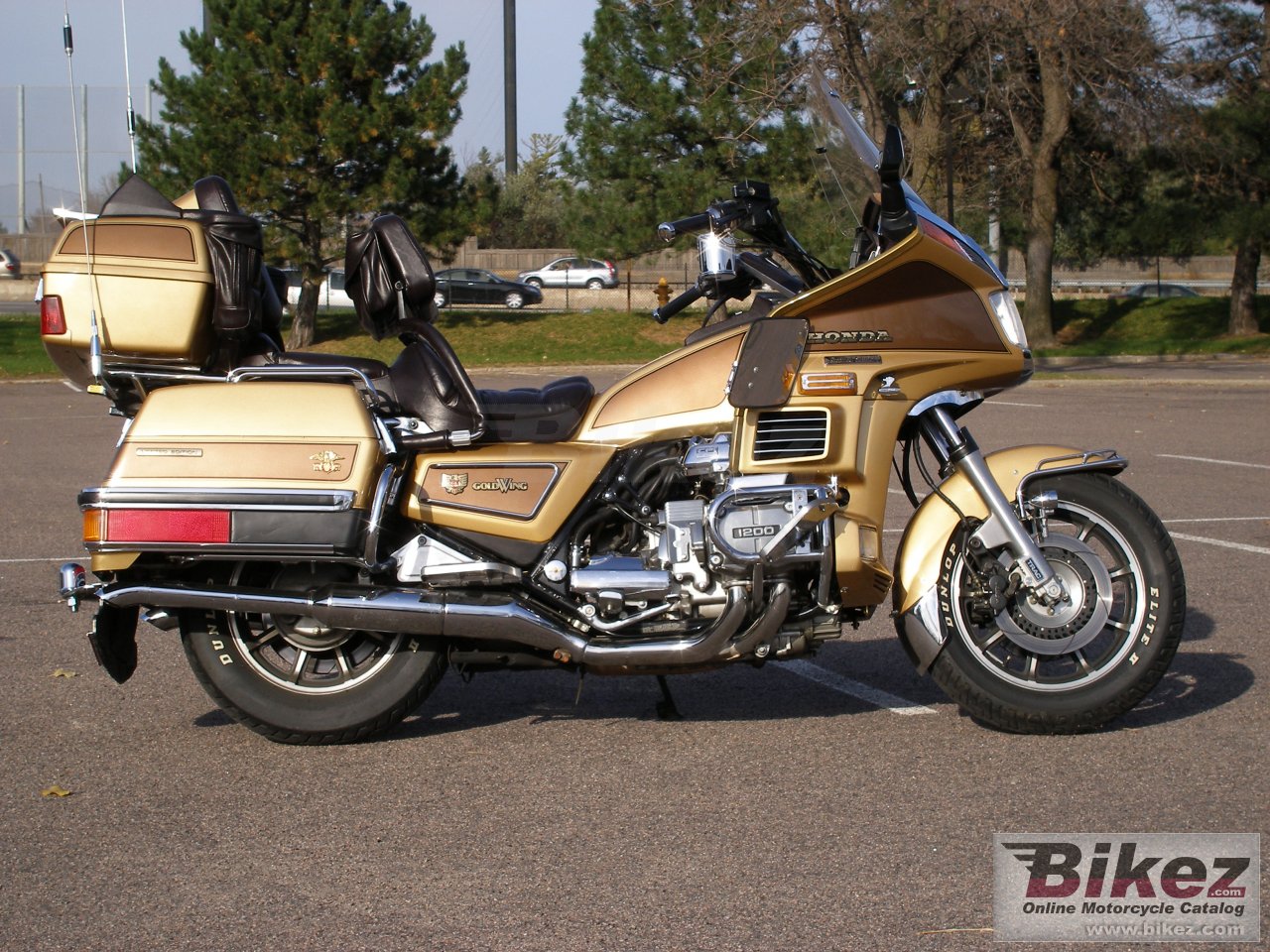 Big nymous user. gl 1200 dx gold wing picture and wallpaper from Bikez.com